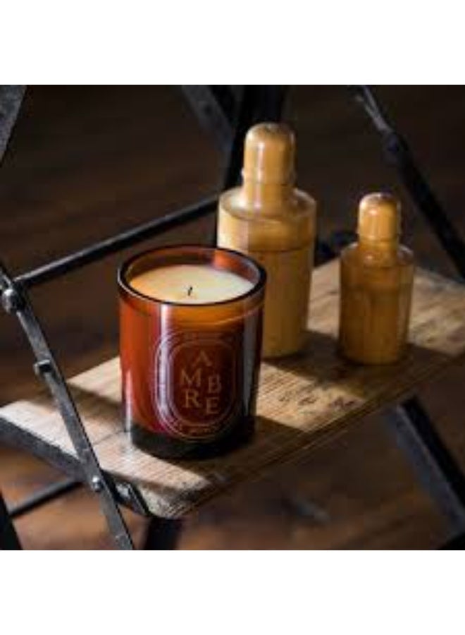 Diptyque Ambre Coloured Candle  300G - Image 4